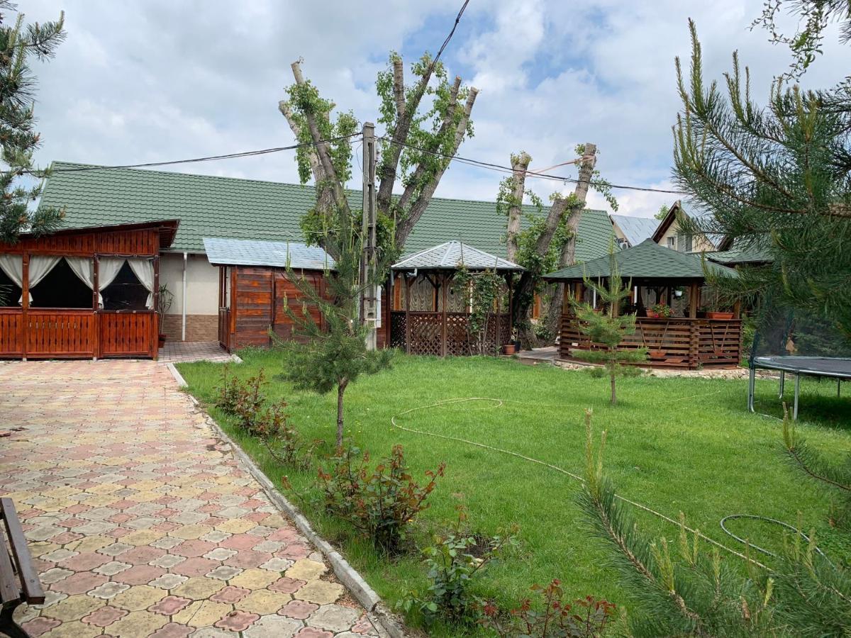 Pensiune Restaurant Rustic Rm Sarat Rimnicu Sarat Esterno foto